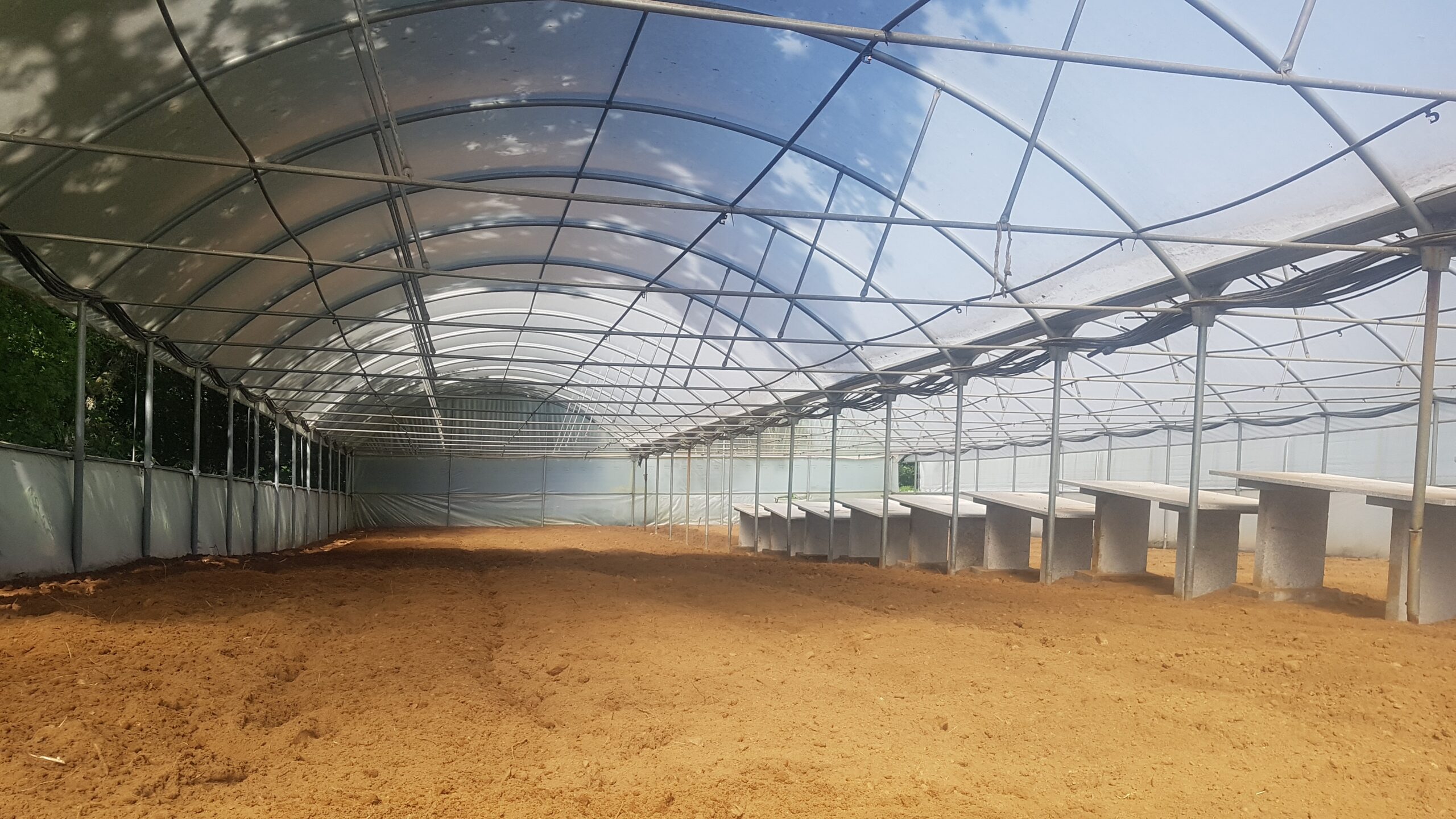 Cópia de 20200523_161439